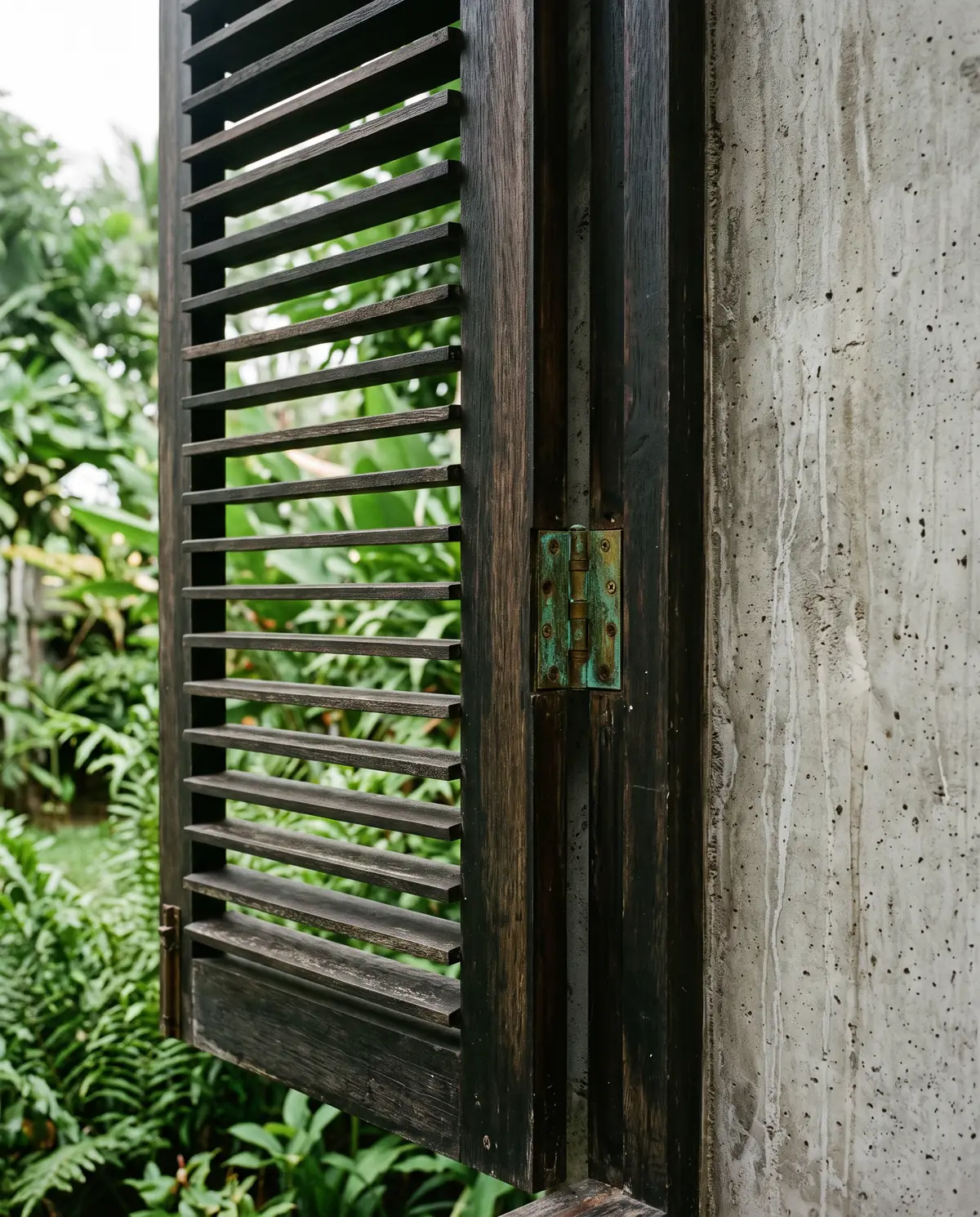 Teduh Studio: a dark timber louvre shutter, open against a concrete wall, with ferns behind